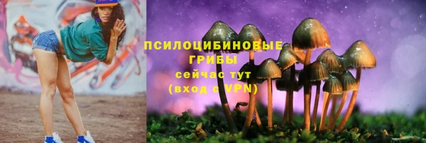 Альфа ПВП Белокуриха