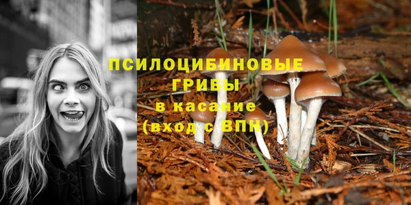 таблы Беломорск