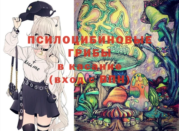Альфа ПВП Белокуриха