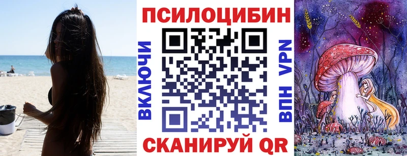 Псилоцибиновые грибы MAGIC MUSHROOMS  Купить закладки  Касимов 
